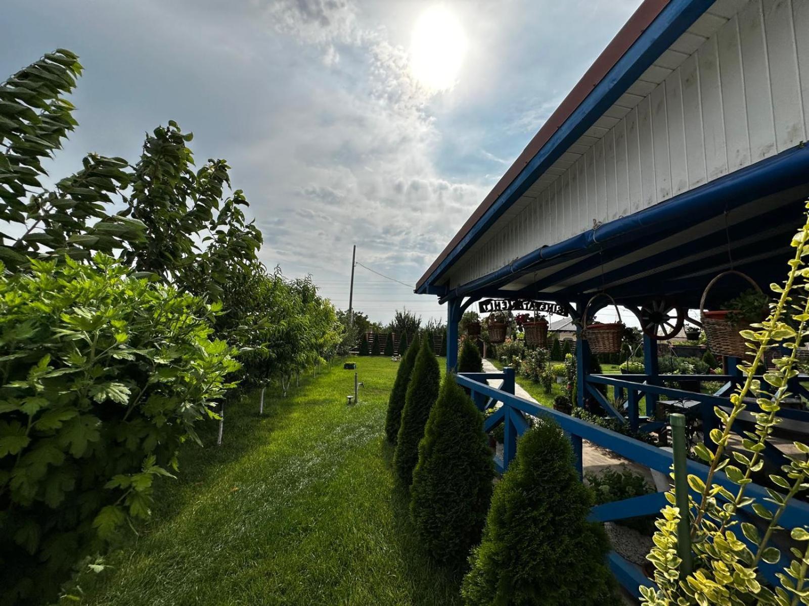 穆里吉奥尔 Agropensiuea Casa Uncu酒店 外观 照片